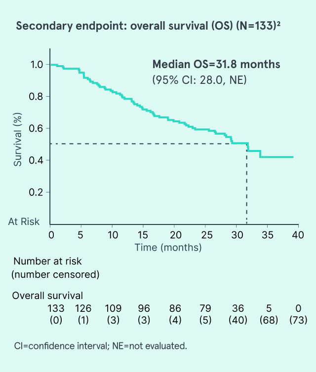 Graph depicting the overall survival (OS) (N=133) of patients over 31.8 months